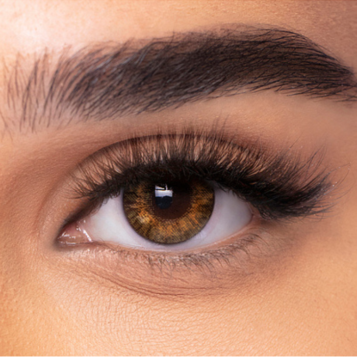 Contact Lenses Freshlook One Day Rx Pure Hazel