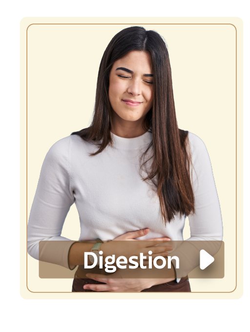 Digestion