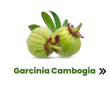 Garcinia Cambogia