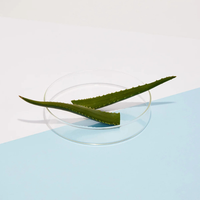 Andalou Aloe + Willow Bark Pore Minimizer – Clarifying Toner for Oily, Acne-Prone Skin with Aloe & Witch Hazel 178ml