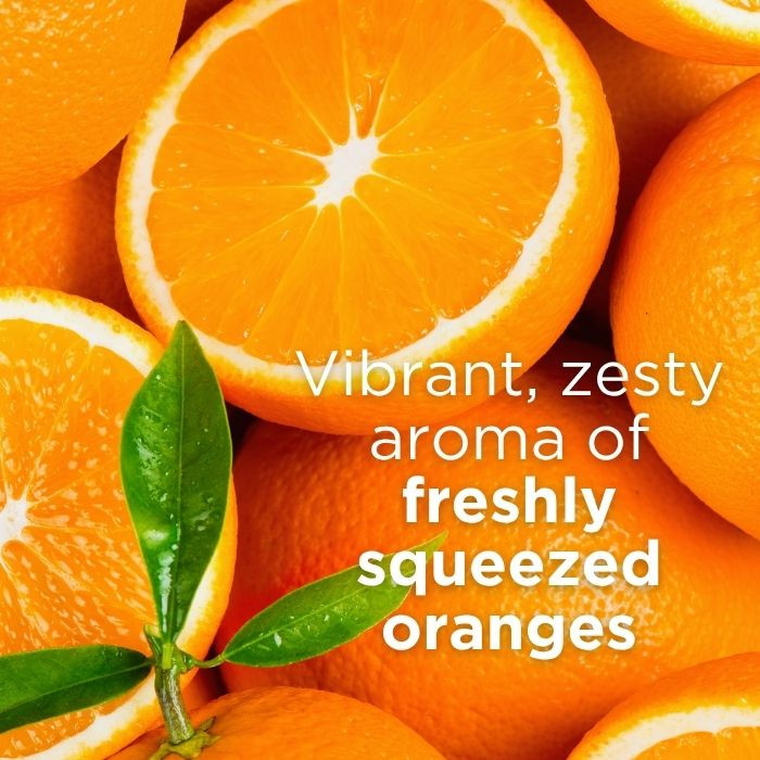 Andalou Naturals Sunflower and Citrus Brilliant Shine Conditioner, Nourishing & Frizz Control for Shiny Hair, 340ml