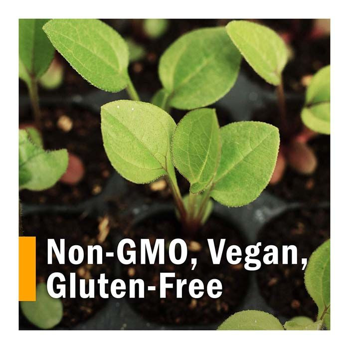 Herb Pharm Arnica Oil 1 Oz