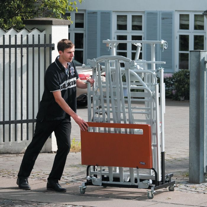 Invacare Alegio NG Electric Bed