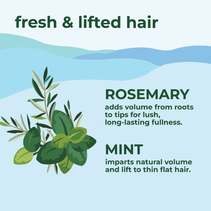 Petal Fresh Pure Rosemary & Mint Volumizing Shampoo, Natural, pH Balanced, Vegan Hair Volume Boost, 475ml