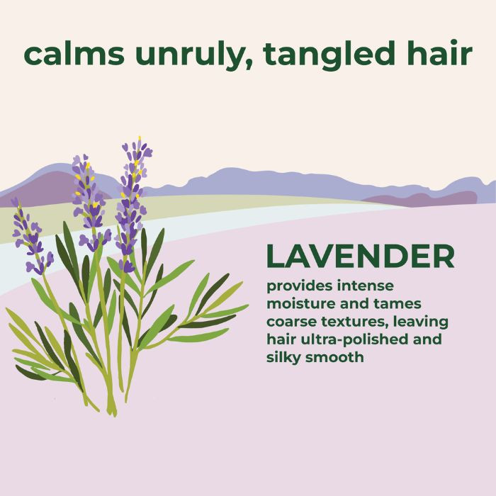 Petal Fresh Pure Lavender Conditioner, Anti-Frizz, Moisture-Rich, Vegan Botanical Hair Smoother, 475ml