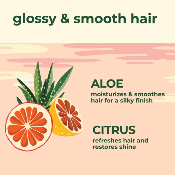 Petal Fresh Pure Aloe and Citrus Conditioner, Ultra-Shine, Natural Hydration, Vegan Botanical Formula, 475ml