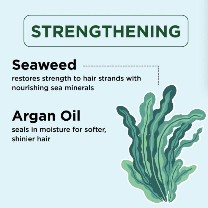 Petal Fresh Pure Strengthening Conditioner Seaweed and Argan Oil, Moisturizing Repair for Dry, Damaged Hair, 475ml