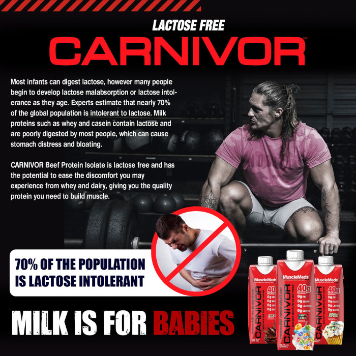 Muscle Meds Carnivor RTD Chocolate 500ml - 40g Beef Protein Isolate, Lactose-Free, Zero Fat Protein Shake - Box of 12 pcs