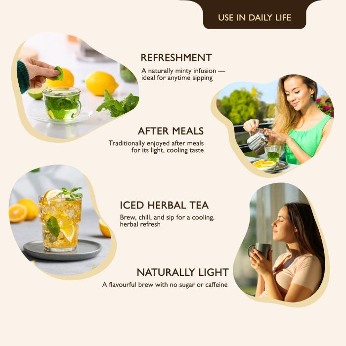 Earth’s Finest Organic Green Tea with Mint, Refreshing, Detoxifying & Antioxidant-Rich Herbal Blend, 25 Tea Bags