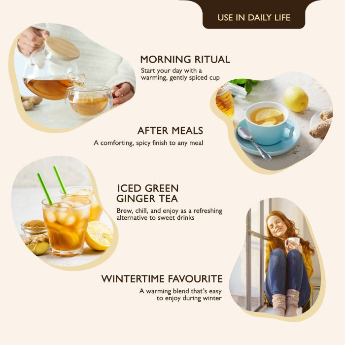 Earth’s Finest Organic Green Tea with Ginger, Immunity-Boosting, Detoxifying & Antioxidant-Rich Blend, 25 Tea Bags