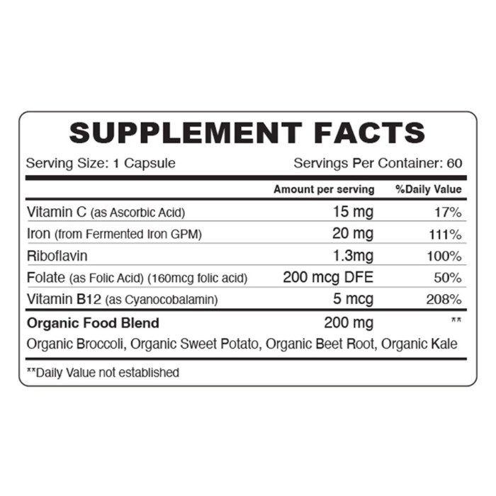 Organic Earth Gentle Iron Supplement with B12, Folate, and Vitamin C for Energy - 60 Capsules