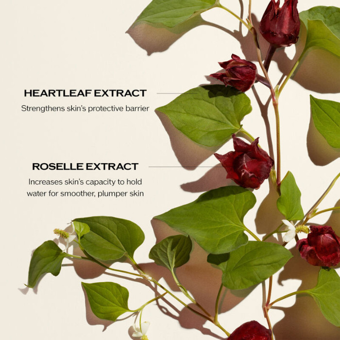 Shiseido Ultimune Power Infusing Concentrate 75ml