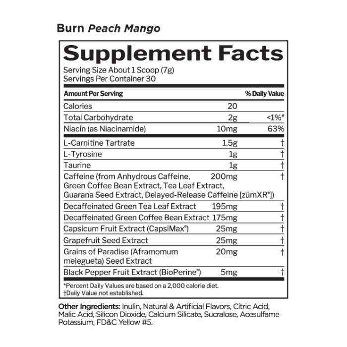 Rule 1 Burn Thermo Peach Mango 30 Servings