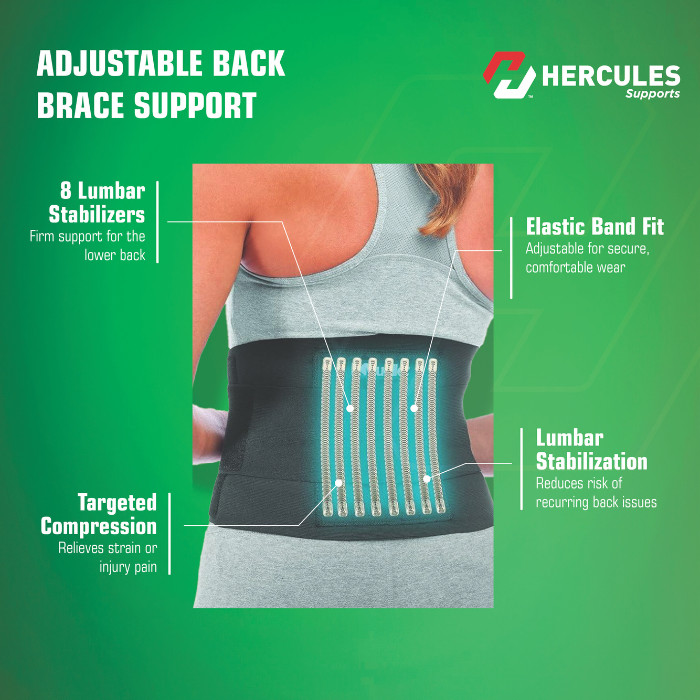 Hercules Adjustable Back Brace Support Universal – Lower Back Pain Relief, Posture Correction & Lumbar Support Belt