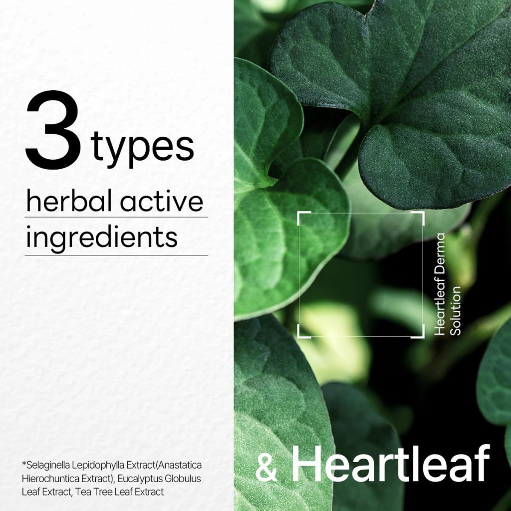 Mediheal Dermaplus Mask, Calming and Hydrating Vegan Sheet with Heartleaf Essence - 22ml