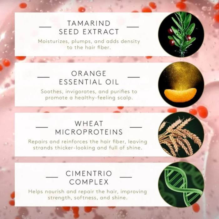 Rene Furterer Tonucia Natural Filler Shampoo ,Volumizing & Strengthening Shampoo for Thinning, Weak Hair 200 ml