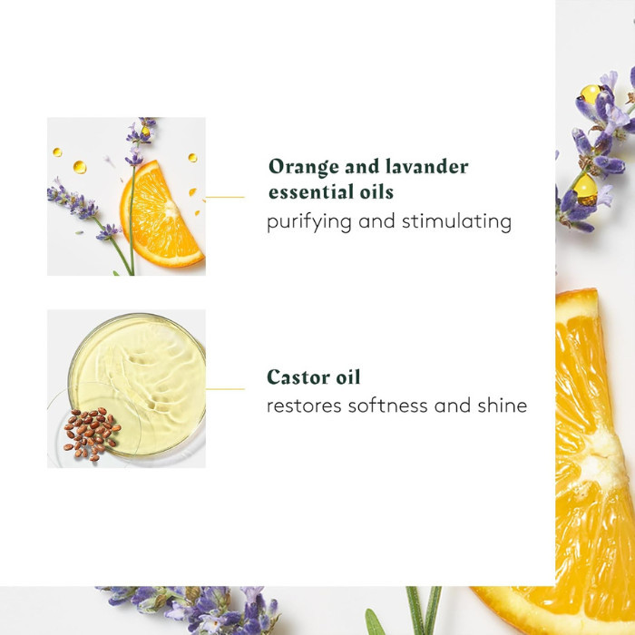 Rene Furterer Complexe 5 Head Spa Concentrate, Scalp Detox & Strengthening Oil with Essential Oils 50ml