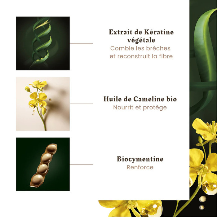 Rene Furterer Absolue Keratine Renewal Care Mask – Deep Repair Hair Mask for Damaged, Brittle & Over-Processed Hair 250ml