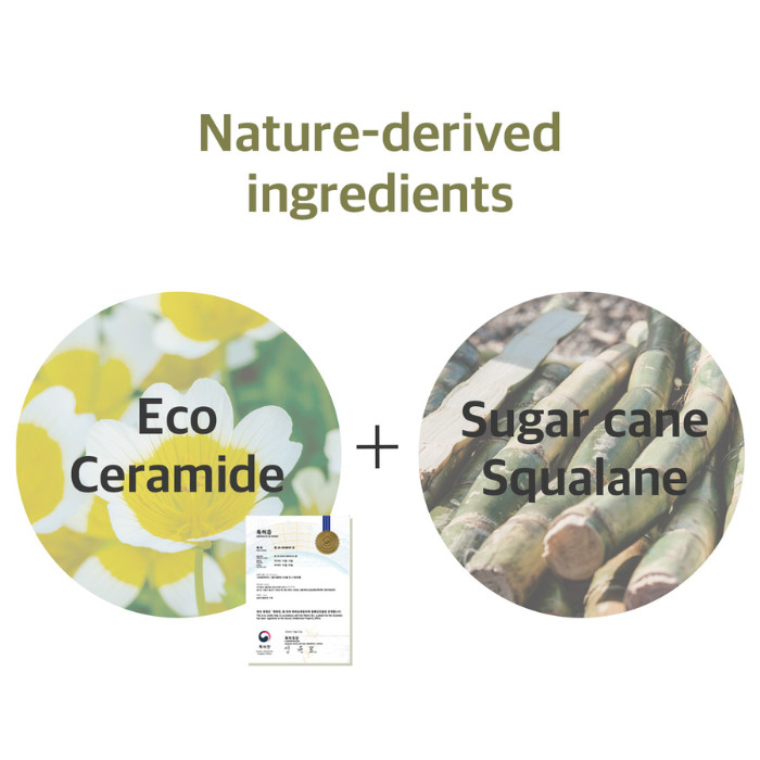 Round Lab Soybean Cleansing Oil -Nourishing Korean Oil Cleanser with Fermented Soybean for Deep, Gentle Makeup Removal 200 ml