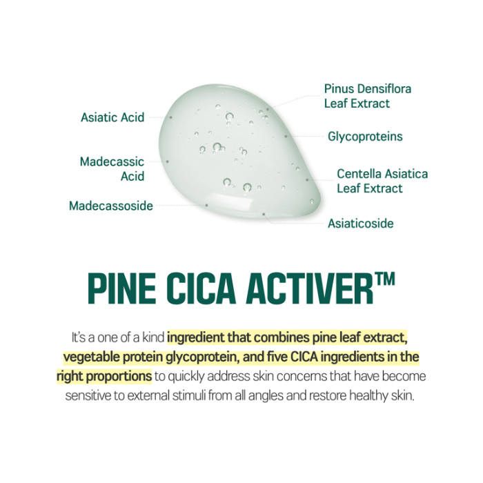 Round Lab Pine Calming Cica Lotion - Soothing Moisturizing Lotion with Pine Leaf & Centella for Sensitive, Irritated Skin 250 ml