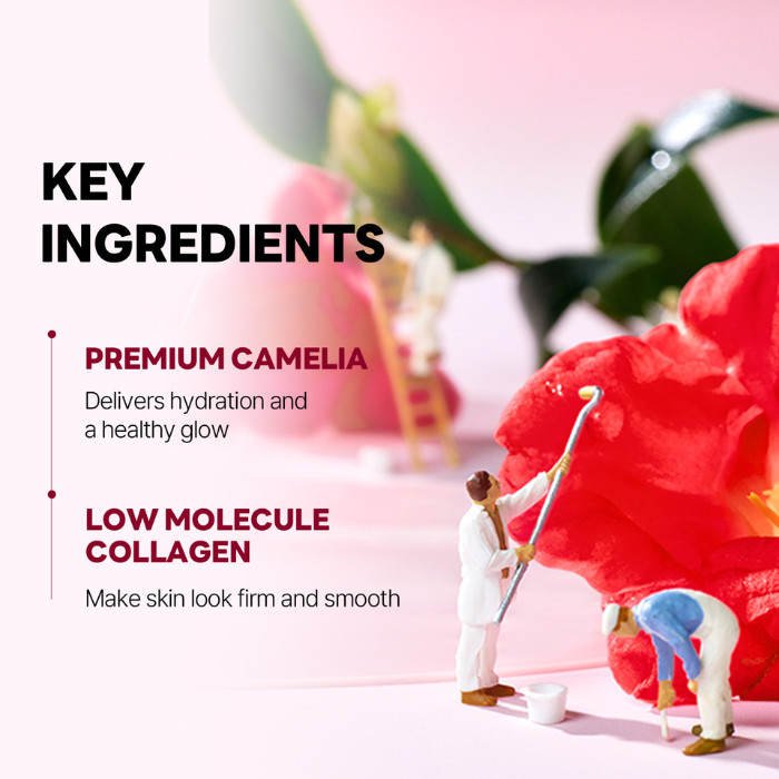 Round Lab Camellia Deep Collagen Firming Gel Mask – Anti-Aging Hydrogel Mask with Collagen & Camellia for Firm, Youthful Skin 4’s