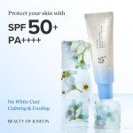 Beauty of Joseon Relief Sun Aqua-Fresh Sunscreen (SPF50+) PA++++ with Rice & Panthenol – Lightweight UV Shield 50ml