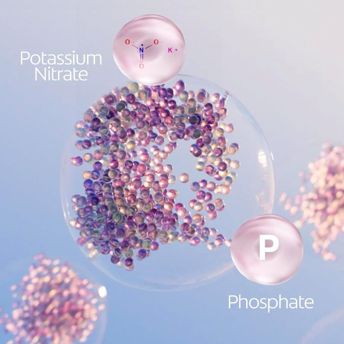 Colgate Total Active Gum Care Toothpaste, 12-Hour Whole Mouth Protection and Gum Health 75ml