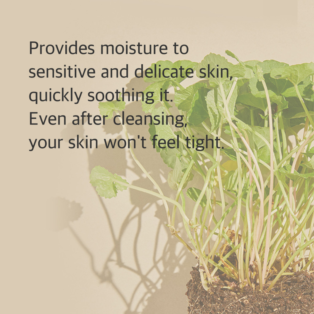 Mixsoon Centella Cleansing Foam, Low pH Gentle Cleanser with Salicylic Acid for Sensitive Skin, 150ml