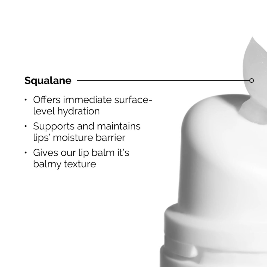 The Ordinary Squalane + Amino Acids Lip Balm, Multi-Use Moisturizer for Lips, Cuticles and Elbows - 15ml