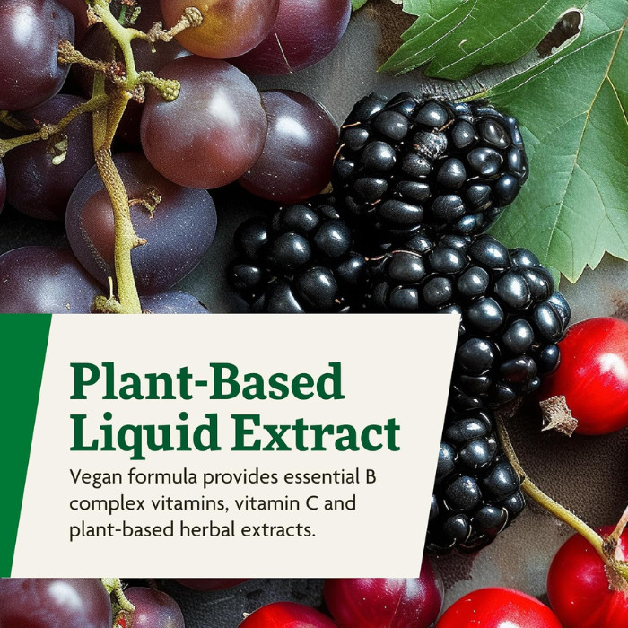 Salus Floradix Floravital Liquid with Organic Iron & Vitamins, Vegan & Easily Absorbable, 250ml